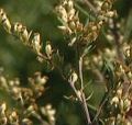���������� - ���������� ������������ � ���������